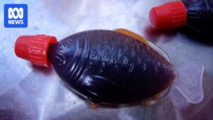 south-australia-leads-nation-with-ban-on-fish-shaped-plastic-soy-sauce-containers