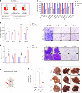 sugary-drinks-linked-to-colorectal-cancer-metastasis-new-insights