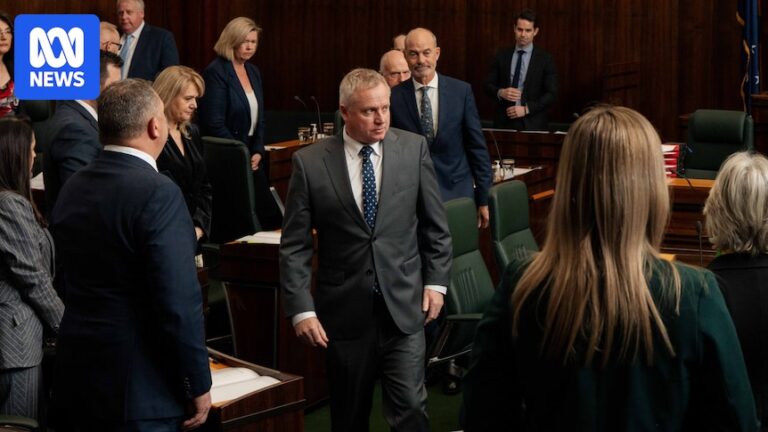 tasmanian-mps-secure-controversial-pay-rise-amid-government-opposition