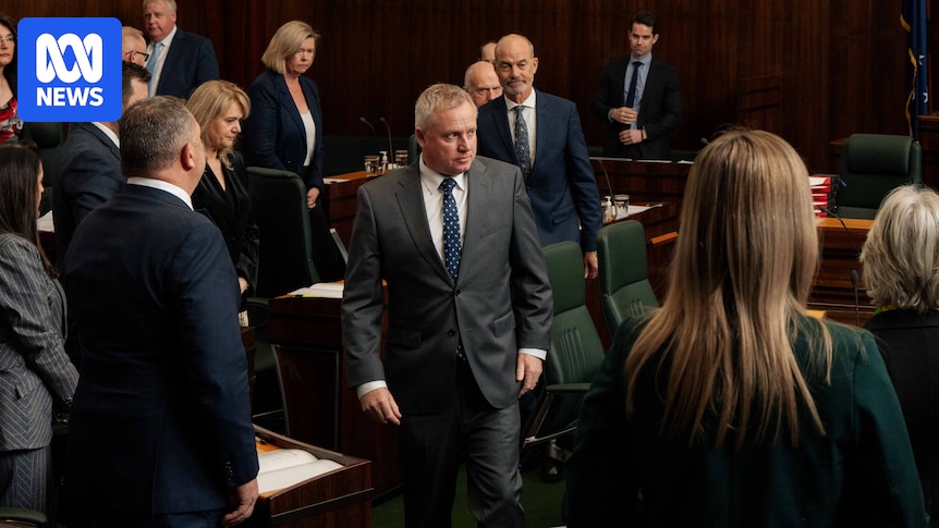 tasmanian-mps-secure-controversial-pay-rise-amid-government-opposition
