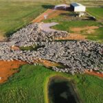 telopea-downs-victoria-s-largest-farm-hits-market-amid-agricultural-boom