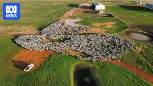 telopea-downs-victoria-s-largest-farm-hits-market-amid-agricultural-boom