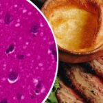the-day-mad-cow-disease-shook-britain-s-beef-industry