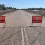 turtle-nesting-season-closes-cape-arnhem-to-protect-vulnerable-species