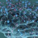 understanding-the-role-of-sleep-in-brain-health-and-dementia-prevention