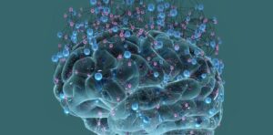 understanding-the-role-of-sleep-in-brain-health-and-dementia-prevention