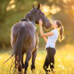 unraveling-horse-dna-how-ancient-breeding-shaped-modern-equines