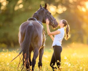 unraveling-horse-dna-how-ancient-breeding-shaped-modern-equines