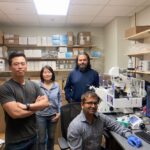 unveiling-the-maternal-fetal-interface-a-dance-of-cooperation-and-competition
