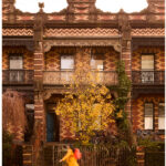 victorian-terrace-transformed-a-harmonious-blend-of-heritage-and-modernity