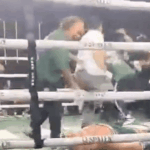 wanderlei-silva-disqualified-and-knocked-out-in-spaten-fight-night-brawl