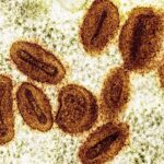 who-downgrades-mpox-to-public-health-concern-not-global-emergency