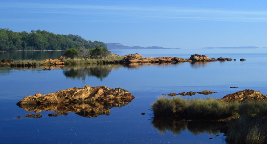 woolworths-faces-oecd-complaint-over-tasmanian-salmon-sourcing-practices