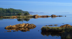 woolworths-faces-oecd-complaint-over-tasmanian-salmon-sourcing-practices