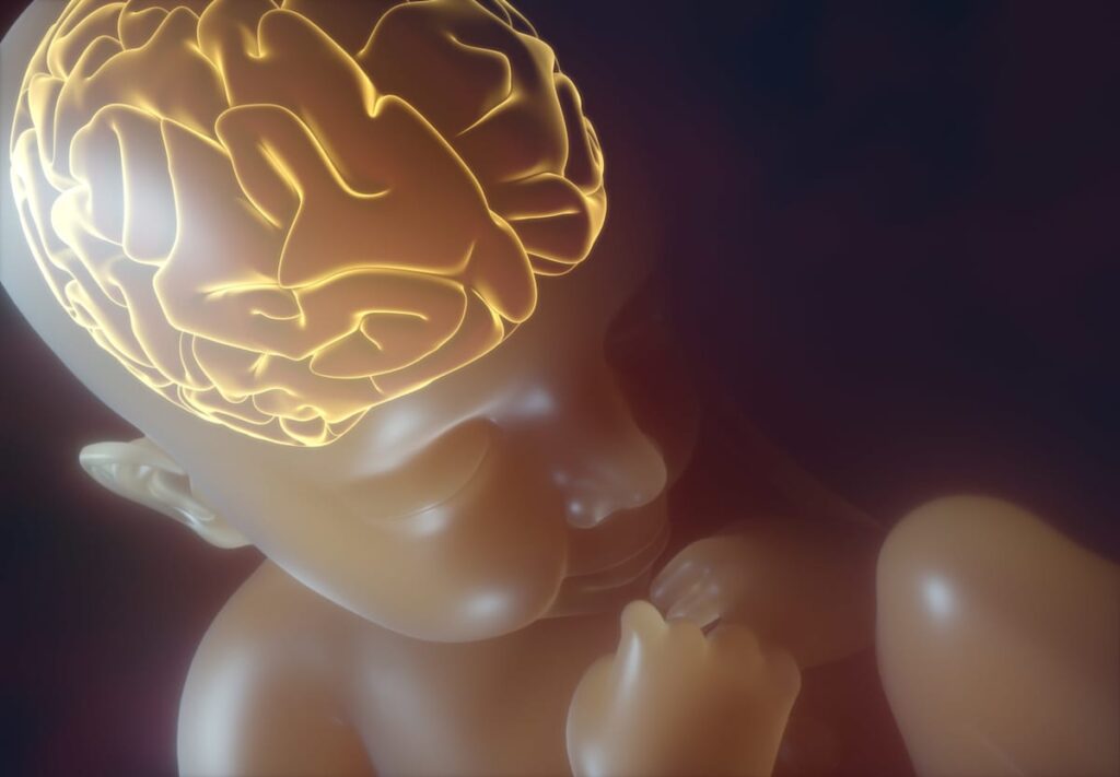 advancing-neuroprotection-breakthroughs-in-pre-term-infant-care
