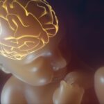 advancing-neuroprotection-breakthroughs-in-pre-term-infant-care