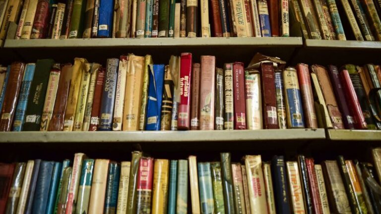 africa-s-publishing-industry-poised-for-growth-amid-policy-reforms