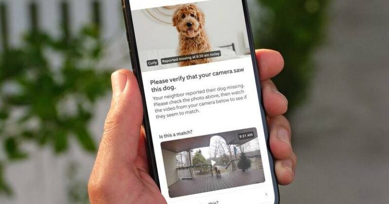 amazon-s-ai-powered-smart-doorbells-to-help-track-lost-dogs