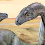 ancient-dinosaur-discovery-in-argentina-sheds-light-on-early-evolution