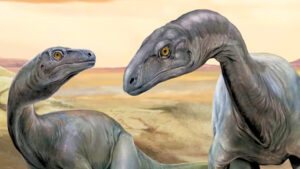 ancient-dinosaur-discovery-in-argentina-sheds-light-on-early-evolution
