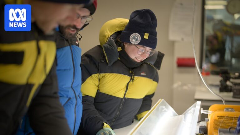 antarctic-scientists-begin-analysis-of-million-year-ice-core-samples