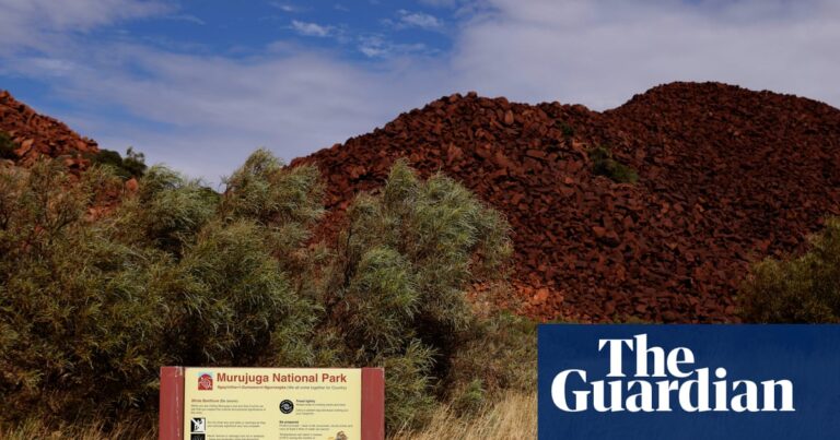 australian-government-eases-protections-for-indigenous-rock-art-amid-gas-project-pressure