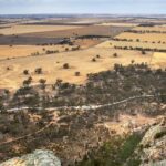 australian-government-grants-major-project-status-to-donald-rare-earth-mine