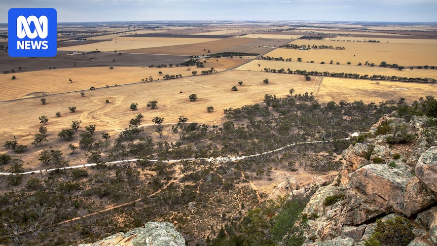 australian-government-grants-major-project-status-to-donald-rare-earth-mine