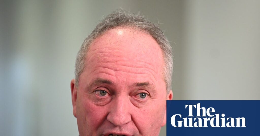 barnaby-joyce-s-departure-from-nationals-fuels-one-nation-speculation