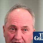 barnaby-joyce-s-departure-from-nationals-fuels-one-nation-speculation