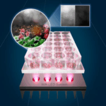breakthrough-cancer-treatment-tin-nanoflakes-and-led-light-revolutionize-therapy