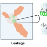 breakthrough-in-peptide-research-offers-hope-against-antibiotic-resistance