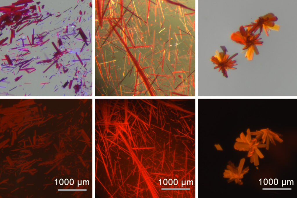 breakthrough-in-red-fluorescent-dyes-promises-enhanced-biomedical-imaging