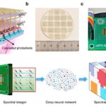 breakthrough-in-spectral-imaging-first-miniaturized-uv-spectrometer-chip-developed