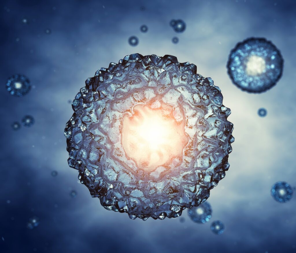 breakthrough-study-maps-human-embryo-development-with-single-cell-precision