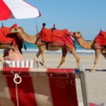 broome-tourism-struggles-as-airline-routes-disappear