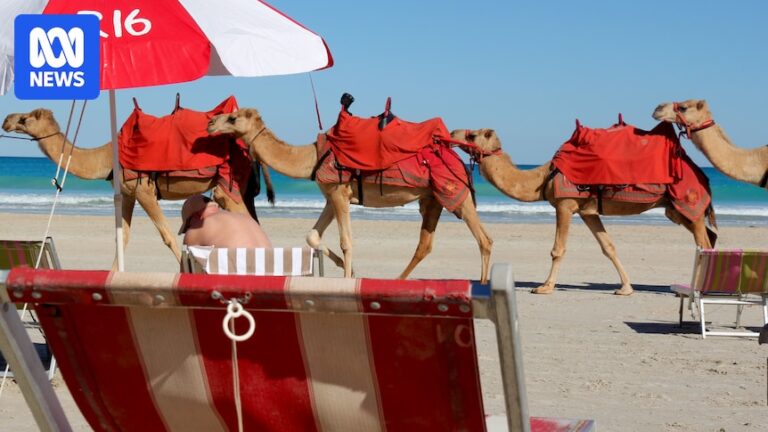 broome-tourism-struggles-as-airline-routes-disappear