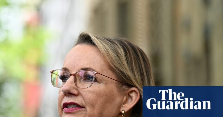 coalition-faces-internal-strife-over-net-zero-policy-amid-potential-mp-exodus