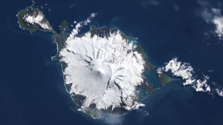 concerns-arise-as-h5-bird-flu-suspected-on-australian-sub-antarctic-island