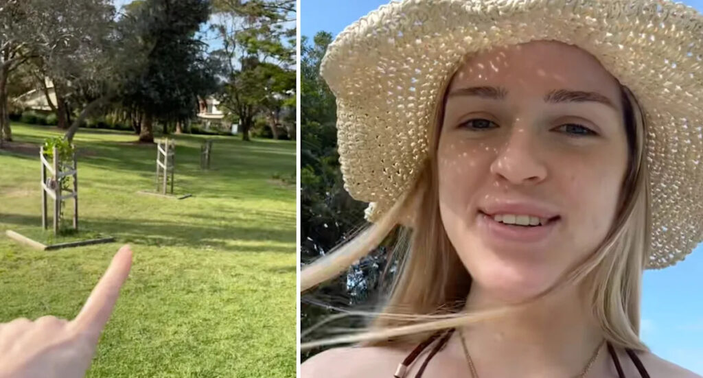 council-s-creative-retaliation-to-tree-vandalism-sparks-debate-in-sydney-suburb