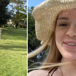 council-s-creative-retaliation-to-tree-vandalism-sparks-debate-in-sydney-suburb