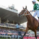 cox-plate-2025-a-historic-farewell-to-moonee-valley-s-iconic-race