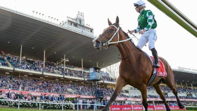 cox-plate-2025-a-historic-farewell-to-moonee-valley-s-iconic-race