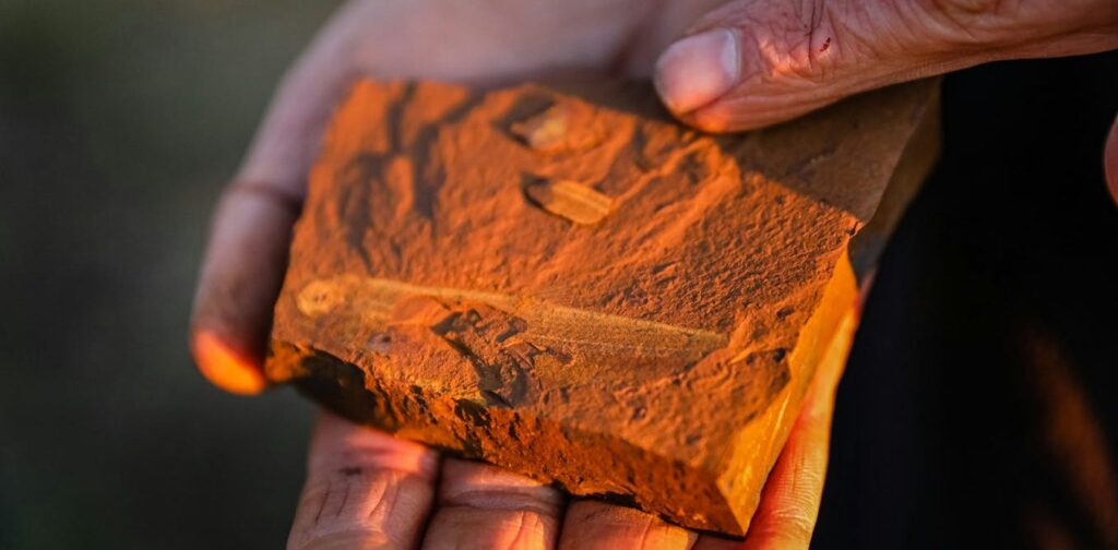 discovery-of-red-rocks-in-australia-challenges-fossil-site-norms