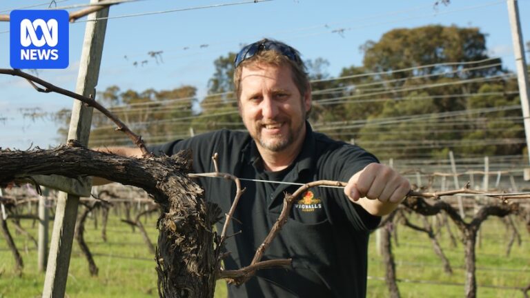 end-of-an-era-family-winery-in-western-australia-closes-after-43-years
