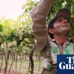 exploring-argentina-s-diverse-wine-landscape-beyond-malbec