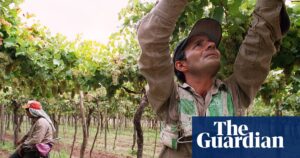 exploring-argentina-s-diverse-wine-landscape-beyond-malbec