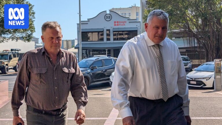 former-queensland-mp-michael-trout-ordered-to-perform-community-service-after-vigilante-assault
