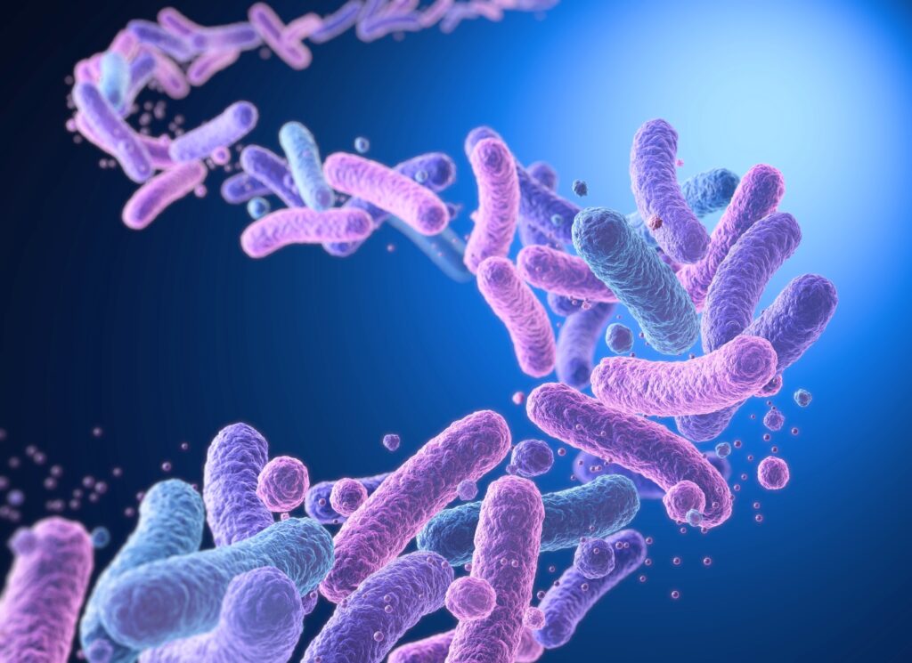 gut-bacteria-evolution-unlocking-the-secrets-to-future-health