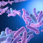 gut-bacteria-evolution-unlocking-the-secrets-to-future-health